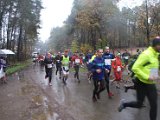 Kasterlee 2014 - 013.jpg